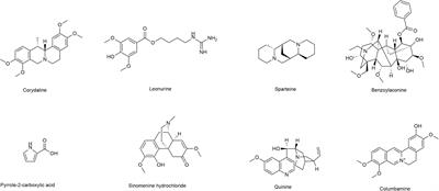 The Hepatoprotective Effect of Leonurine Hydrochloride Against Alcoholic Liver Disease Based on Transcriptomic and Metabolomic Analysis